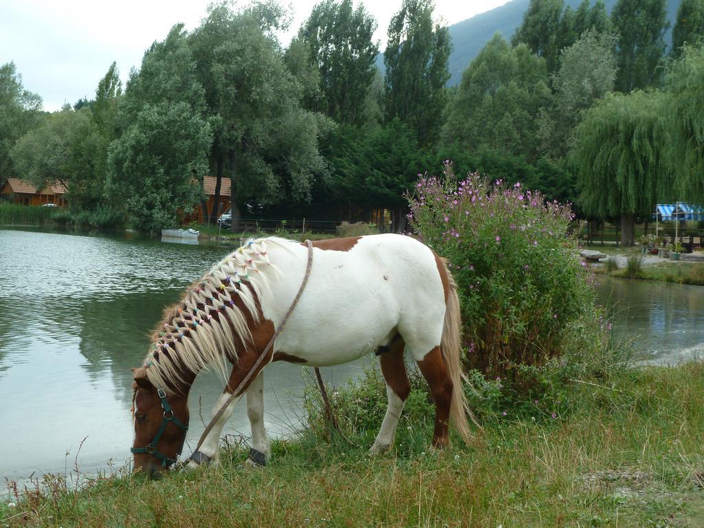 Camping La Motte Flottante La Freissinouse Exterior foto