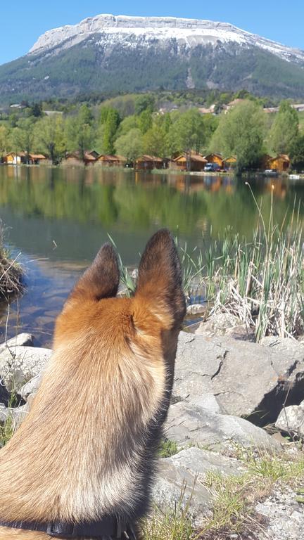 Camping La Motte Flottante La Freissinouse Exterior foto